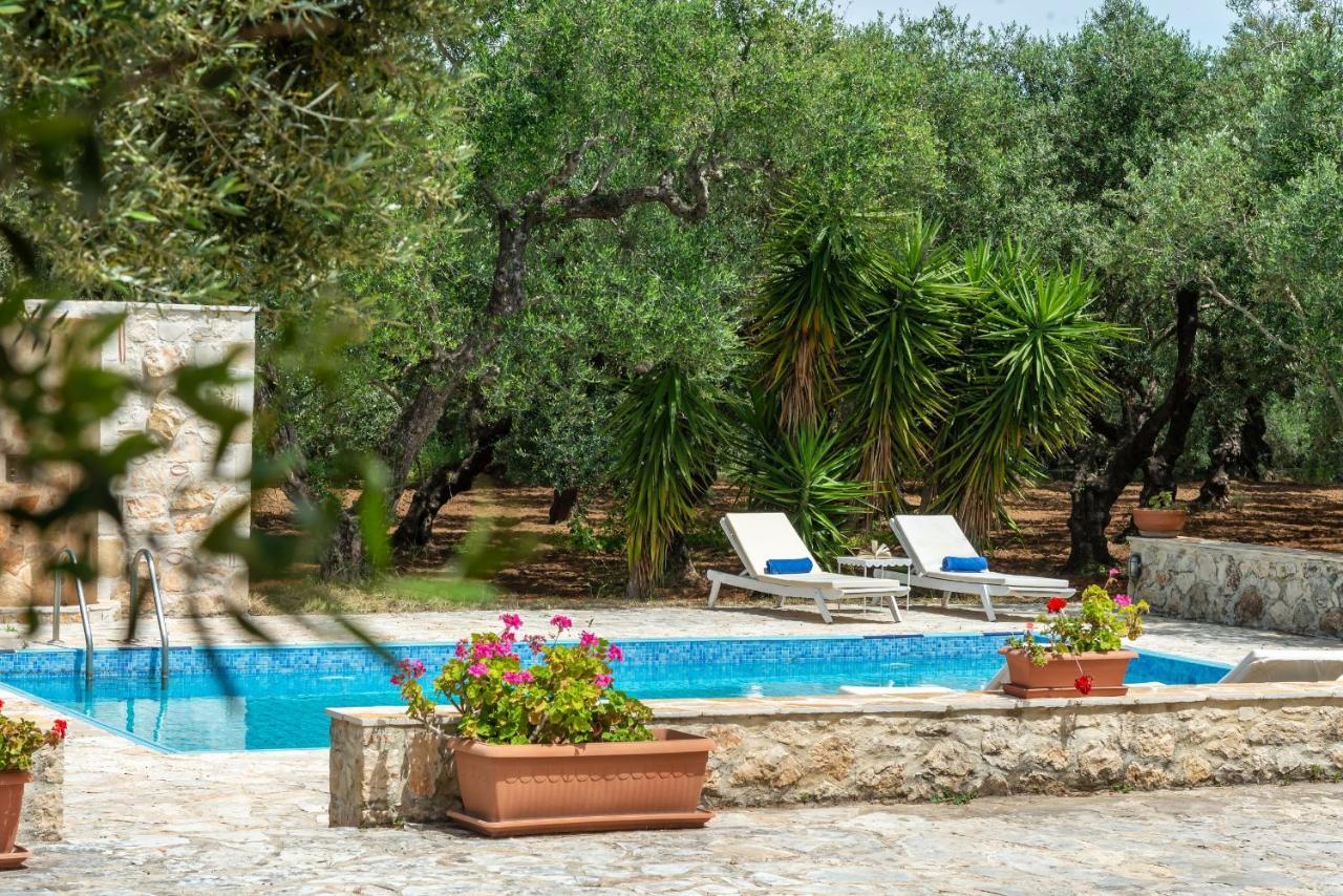 Olivegrove Villa - Nestled In Olive Trees With Private Pool, By Zantewize Трагакі Екстер'єр фото