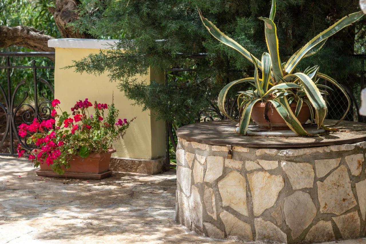 Olivegrove Villa - Nestled In Olive Trees With Private Pool, By Zantewize Трагакі Екстер'єр фото